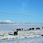 Iceland Tour 2018
