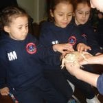 The Towers Our Visit to Drusilla’s