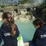 The Towers Our Visit to Drusilla’s