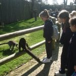 The Towers Our Visit to Drusilla’s