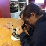 Year 3 and 4 Trip to Fishbourne Roman Palace and Gardens