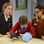 Year 6 Space Stem Day