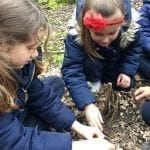 ks1 trip to Southwater dinosaur Park