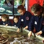 Sea Life Centre KS1 The Towers