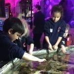 Sea Life Centre KS1 The Towers