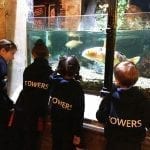 Sea Life Centre KS1 The Towers