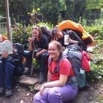 bronze dofe group resting 2019
