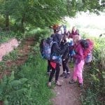 bronze dofe 2019