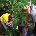 Year 10 Geography Students at Calshot doing River Fieldwork.