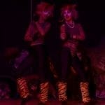 Cats at The Towers 2019