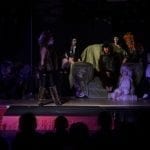 Cats at The Towers 2019