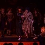 Cats at The Towers 2019