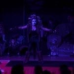 Cats at The Towers 2019