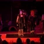 Cats at The Towers 2019