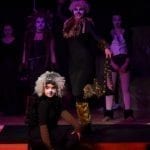 Cats at The Towers 2019